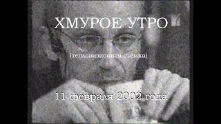 Хмурое утро 11 февраля 2002 года (тепловизорная съёмка)