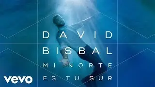 David Bisbal - Mi Norte Es Tu Sur (Audio)