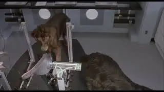 fluke (1995) - rumbo saves fluke