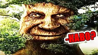 МУДРОЕ ДЕРЕВО - ОТКУДА МЕМ?