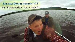 Рыбалка в Кушве - Как мы с Димоном Окуня искали ...