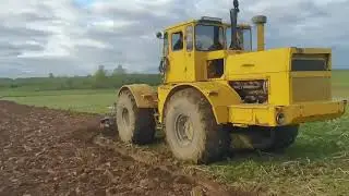 Кировец К-701 пашет.2024