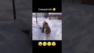 Мне всё пох