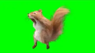 Green screen animals dance!!!