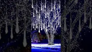 Christmas house decoration lights