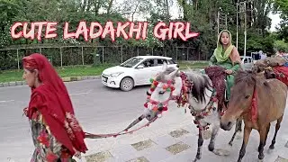 Cute Ladakhi Girl Riding Horse