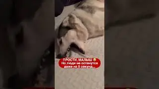 Каково быть одному… 💔