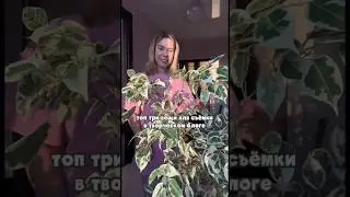 #иллюстратор