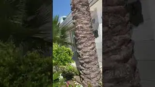 Турция, Кемер, Onkel Resort 4* (территория), 27.07.24 - 02.08.24.