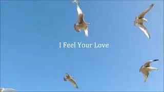 I Feel Your Love (Official Lyric Video)
