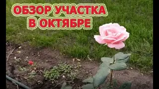 Что делать на огороде осенью?