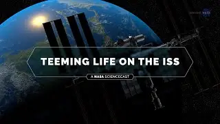 NASA ScienceCasts: Teeming Life on the ISS