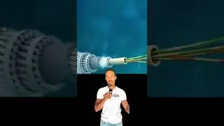 Copie o link e garanta sua vaga