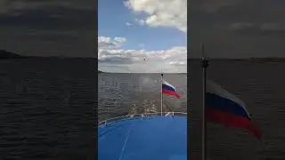 чайки на Каме