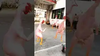 #shortvideo #funny #shortviral #swarupmalik #funnyvideo  #shorts #মুরগিডান্স #funnyshort