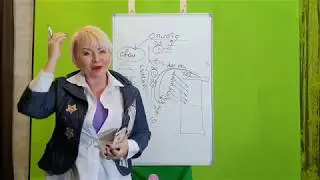 Как оплатить заказ, Где найти клиентов, Зачем создавать продуктовый чат ( 16 минут )