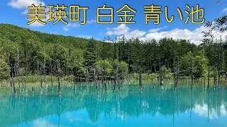 美瑛町 白金 青い池