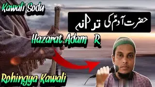 Kawali Sodu | Tarana | Hazarat Adam✅