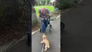 This pup has the cutest reaction to seeing her best friend