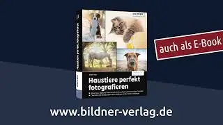 Haustiere perfekt fotografieren