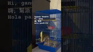 Когда пришел домой в 5 утра с пьянки … 😅