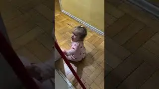 Que fofos 