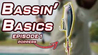 Bassin’ Basics - Episode 1 - ( POPPERS )