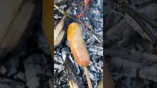 Grilled sausage 