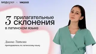 Прилагательные 3 склонения в латинском языке
