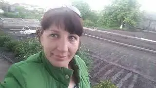 Всё идёт по плану 🤫😂💃👍😄
