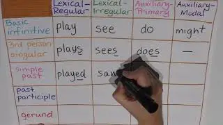Episode 13 : Similarities between auxiliary and lexical verbs
