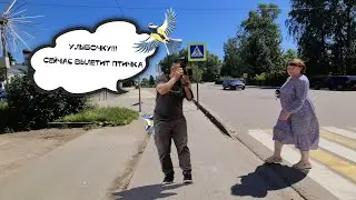 Видео стрим фотосессии