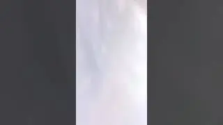 освежи