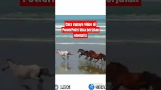 Cara supaya video di PowerPoint bisa berjalan otomatis #shorts #tutorial #powerpoint