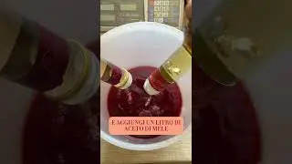 Shrub di Fragole e aceto di mele by Elia Caló #shorts