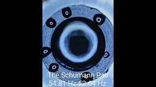 The Schumann Pair of Tuning Forks through a Cymascope
