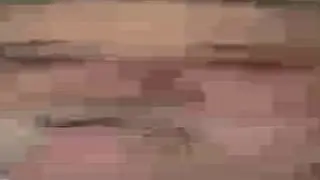 “I cAnT gEt No-“