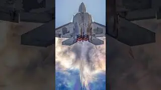 En qué se Parece un Avión a Una Polilla