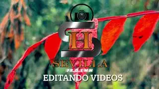 #instrumental #paz #tranquilidad #parati #nuevodía #parati #musicacristiana #viralvideo #videos #fyp