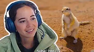 Maya was IMPRESSED when a viewer showed her this...
