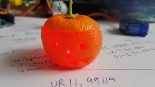 Halloween Mini Pumpkin using Kumquat
