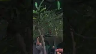 if you use drugs in SCUM