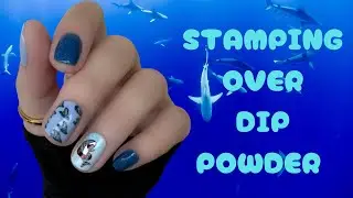 DIP POWDER NAILS | SHORT NATURAL NAILS | SHARK WEEK NAILS | STAMPING OVER DIP POWDER