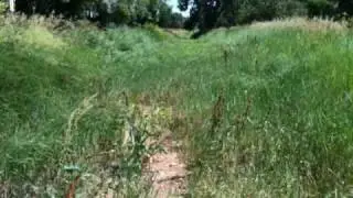 Goodhue ditch, July 24 2010, pt 1/3