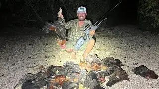 Hunting Wild CHICKENS With Airguns