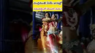 చంద్రముఖి ఏయే భాషల్లో విడుదలైందో తెలుసా మీకు? #chandramukhi #rajanikanth #rajnikanth #nayanthara