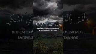 Коран #islam #islamic #islamicvideo #quran #quranic #коран #ислам
