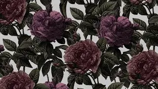 Разумный - Думал🔗