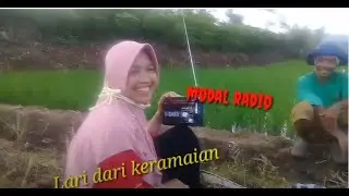 CARA MENANAM KAMIJARA Bersama BOS LAHAN