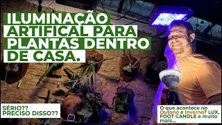 ILUMINAÇÃO ARTIFICIAL para suas plantas: TUDO que você precisa saber para sua florestinha.
